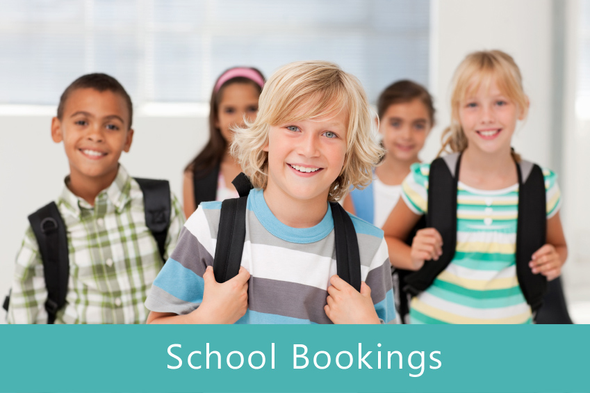 school-bookings Portrait of a happy school boy carrying his bag , group of friends at the back