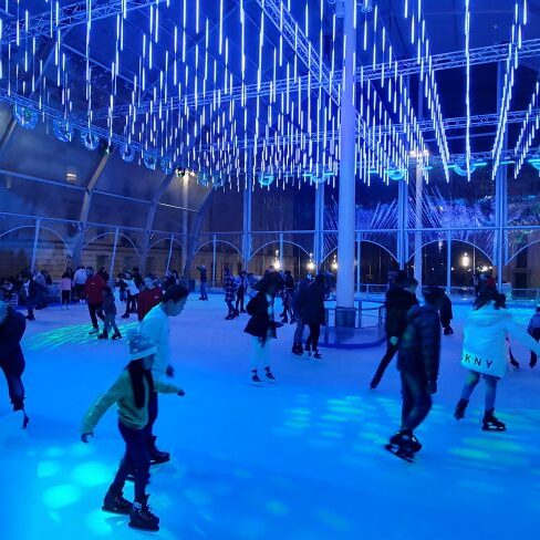 ice skate bir mingham 2019 (3)
